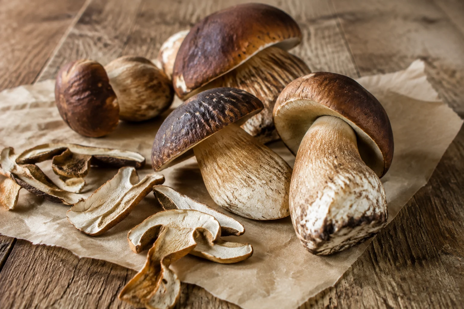 Cèpes porcini frais dans une forêt italienne